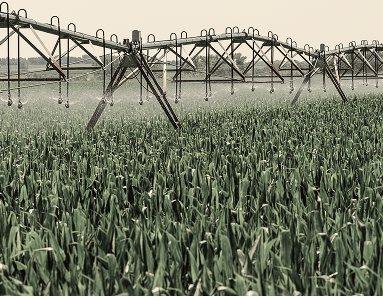 Sustainability